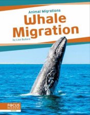 Animal Migrations Whale Migration