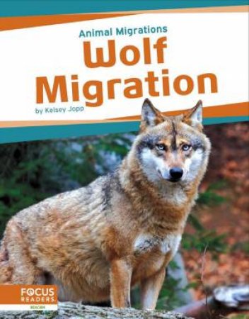 Animal Migrations: Wolf Migration by KELSEY JOPP
