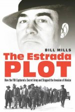 The Estrada Plot