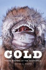 Cold Three Winters At The South Pole