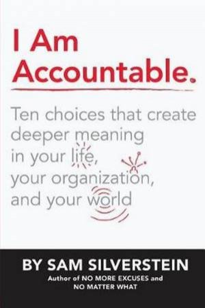 I Am Accountable by Sam Silverstein