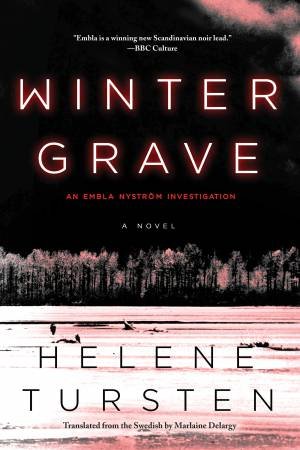 Winter Grave by Helene Tursten