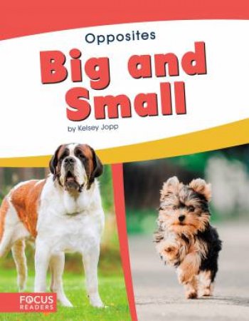 Opposites: Big And Small by Kelsey Jopp