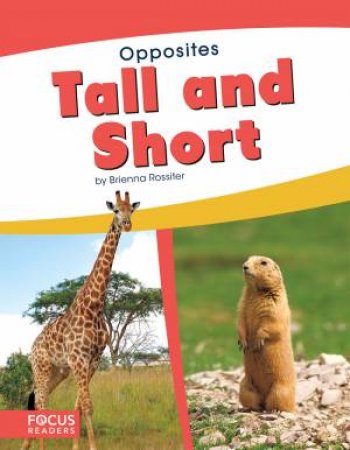 Opposites: Tall And Short by Brienna Rossiter