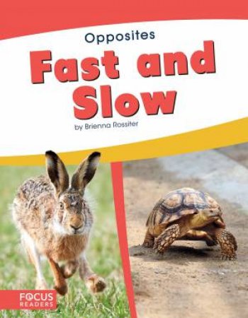 Opposites: Fast And Slow by Brienna Rossiter