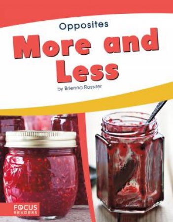 Opposites: More And Less by Brienna Rossiter