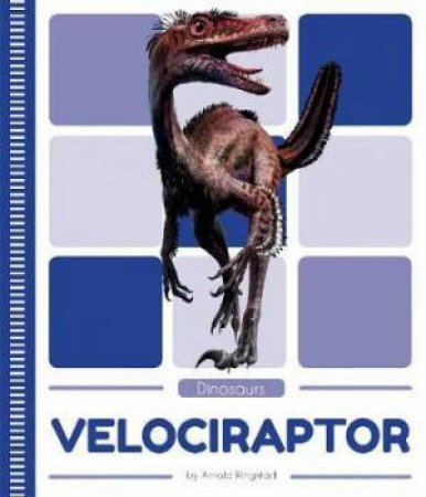 Dinosaurs: Velociraptor by Arnold Ringstad