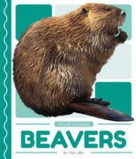 Pond Animals Beavers