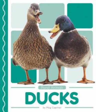 Pond Animals: Ducks