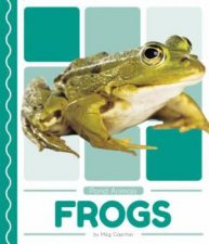 Pond Animals Frogs