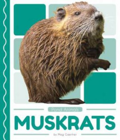 Pond Animals: Muskrats by Meg Gaertner