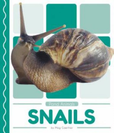 Pond Animals: Snails