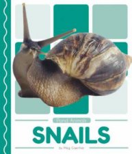 Pond Animals Snails