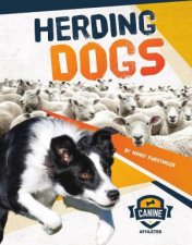 Canine Athletes Herding Dogs