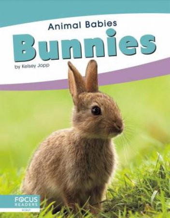 Animal Babies: Bunnies by Kelsey Jopp