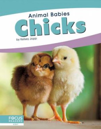 Animal Babies: Chicks by Kelsey Jopp