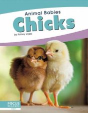 Animal Babies Chicks