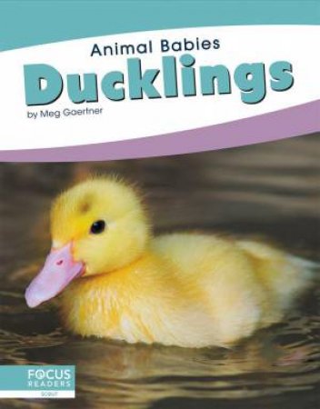 Animal Babies: Ducklings by Meg Gaertner