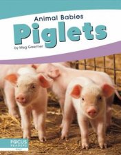 Animal Babies Piglets