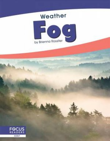 Weather: Fog by Brienna Rossiter