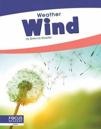 Weather: Wind by Brienna Rossiter
