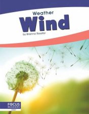 Weather Wind