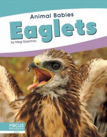 Animal Babies: Eaglets by Meg Gaertner