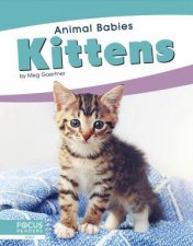 Animal Babies Kittens