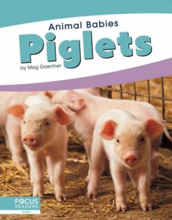 Animal Babies: Piglets by Meg Gaertner