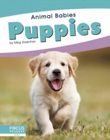 Animal Babies: Puppies by Meg Gaertner