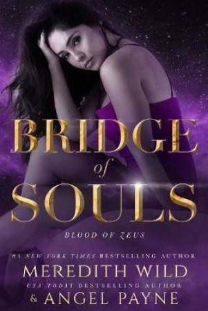 Bridge Of Souls by Meredith Wild & Angel Payne