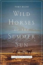 Wild Horses Of The Summer Sun