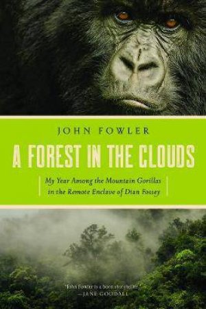 A Forest In The Clouds by John Fowler