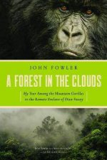 A Forest In The Clouds