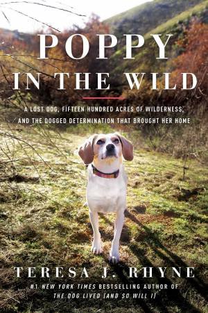 Poppy In The Wild by Teresa J. Rhyne