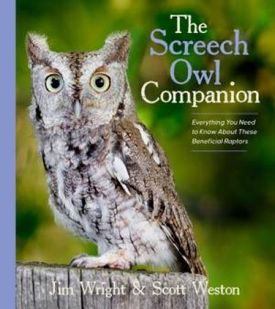Screech Owl Companion: Everything You Need to Know about These Beneficial Raptors by JIM WRIGHT
