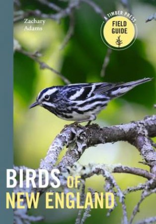 Birds of New England by Zach Adams