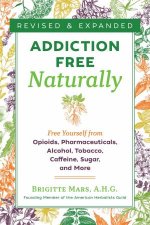 AddictionFree Naturally Free Yourself From Opioids Pharmaceuticals Alcohol Tobacco Caffeine Sugar And More