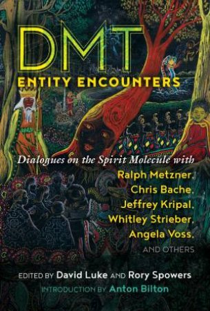 DMT Entity Encounters by David Luke & Rory Spowers