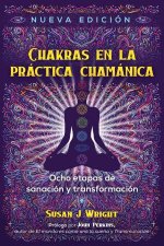 Chakras En La Prctica Chamnica