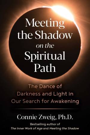 Meeting The Shadow On The Spiritual Path by Connie Zweig