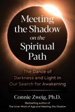 Meeting The Shadow On The Spiritual Path