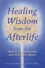 Healing Wisdom from the Afterlife