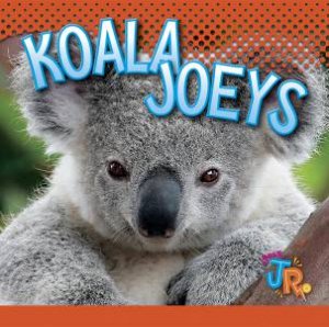 Koala Joeys by Jen Besel