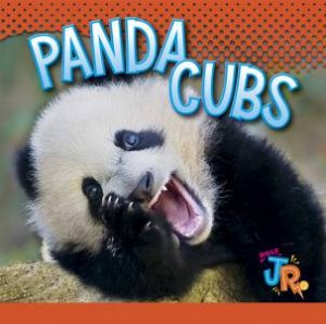 Panda Cubs by Jennifer M Besel