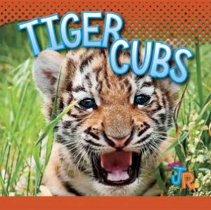 Tiger Cubs by Jen Besel