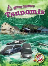Natural Disasters Tsunamis
