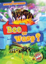 Spotting Differences Bee or Wasp
