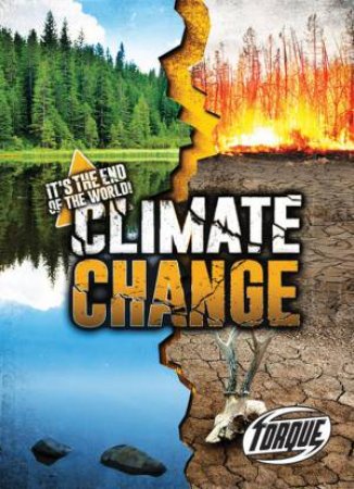 It's The End Of The World: Climate Change by Lisa Owings