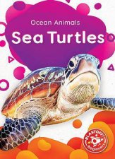 Ocean Animals Sea Turtles
